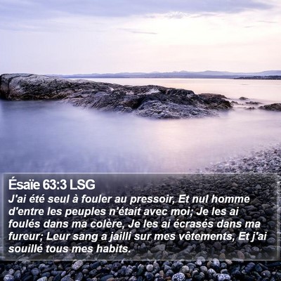 Ésaïe 63:3 LSG Bible Verse Image