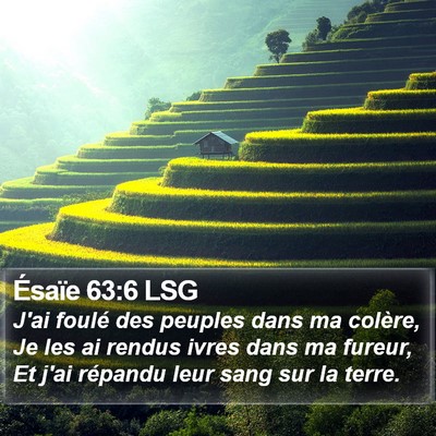 Ésaïe 63:6 LSG Bible Verse Image