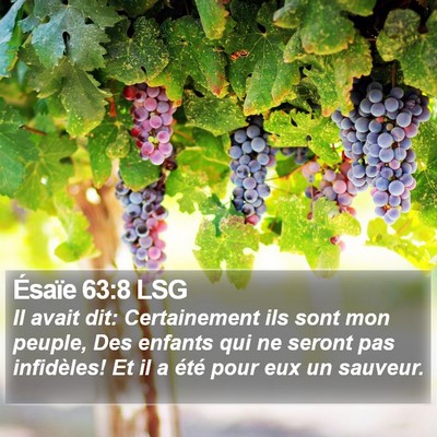 Ésaïe 63:8 LSG Bible Verse Image