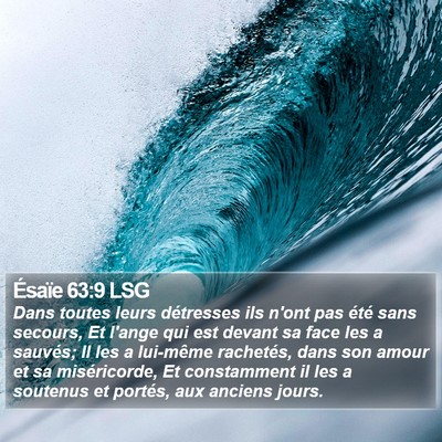Ésaïe 63:9 LSG Bible Verse Image