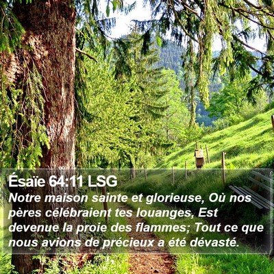 Ésaïe 64:11 LSG Bible Verse Image