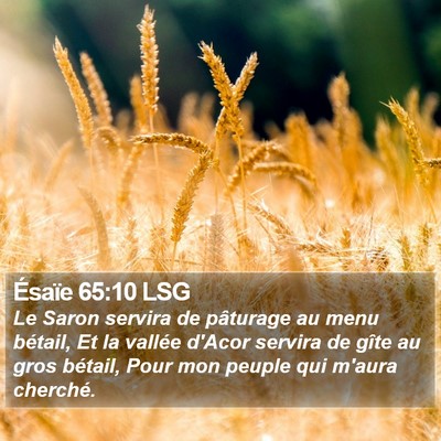 Ésaïe 65:10 LSG Bible Verse Image