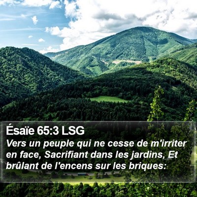 Ésaïe 65:3 LSG Bible Verse Image