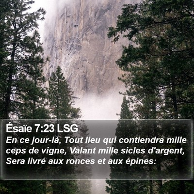 Ésaïe 7:23 LSG Bible Verse Image