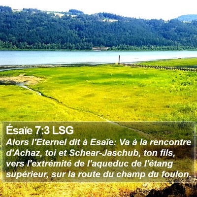 Ésaïe 7:3 LSG Bible Verse Image