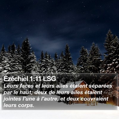 Ézéchiel 1:11 LSG Bible Verse Image
