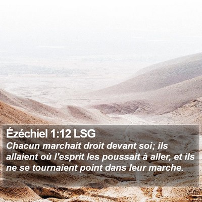 Ézéchiel 1:12 LSG Bible Verse Image
