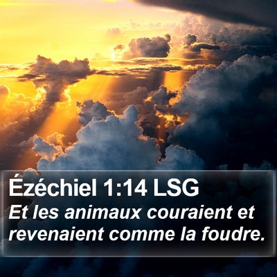 Ézéchiel 1:14 LSG Bible Verse Image
