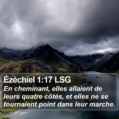 Ézéchiel 1:17 LSG Bible Verse Image