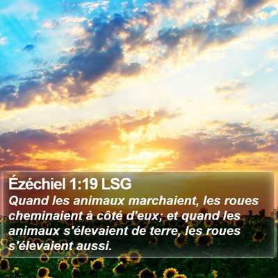 Ézéchiel 1:19 LSG Bible Verse Image