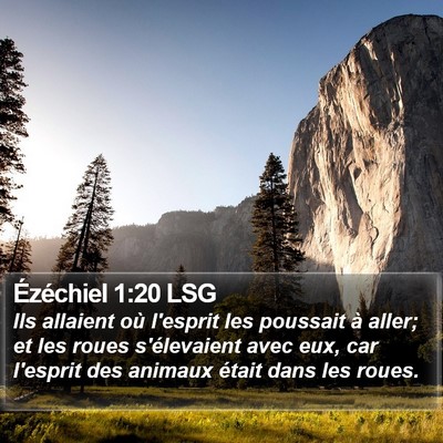 Ézéchiel 1:20 LSG Bible Verse Image