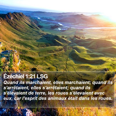 Ézéchiel 1:21 LSG Bible Verse Image