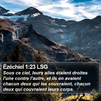 Ézéchiel 1:23 LSG Bible Verse Image