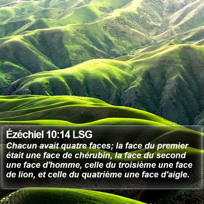 Ézéchiel 10:14 LSG Bible Verse Image