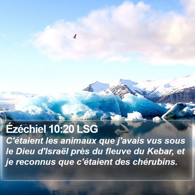 Ézéchiel 10:20 LSG Bible Verse Image