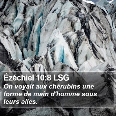 Ézéchiel 10:8 LSG Bible Verse Image