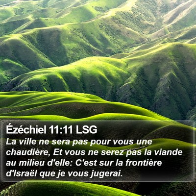 Ézéchiel 11:11 LSG Bible Verse Image
