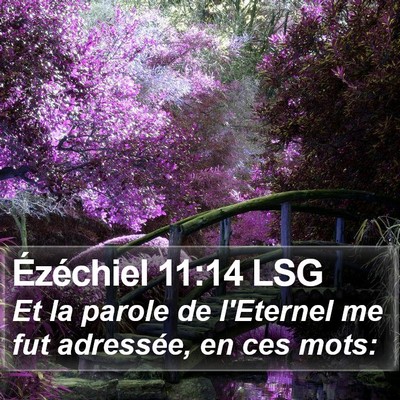 Ézéchiel 11:14 LSG Bible Verse Image