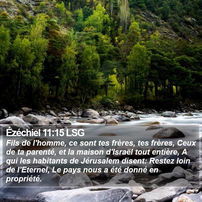 Ézéchiel 11:15 LSG Bible Verse Image