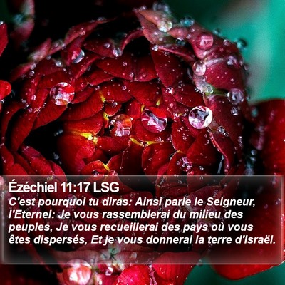 Ézéchiel 11:17 LSG Bible Verse Image