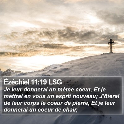 Ézéchiel 11:19 LSG Bible Verse Image
