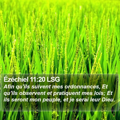 Ézéchiel 11:20 LSG Bible Verse Image