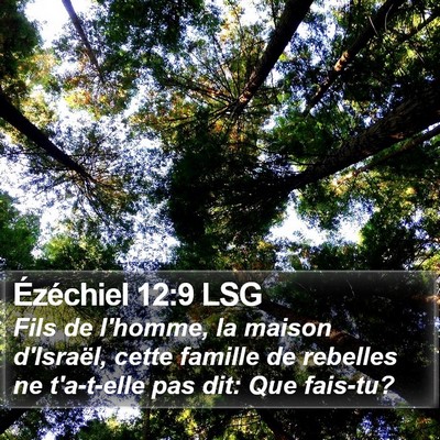 Ézéchiel 12:9 LSG Bible Verse Image