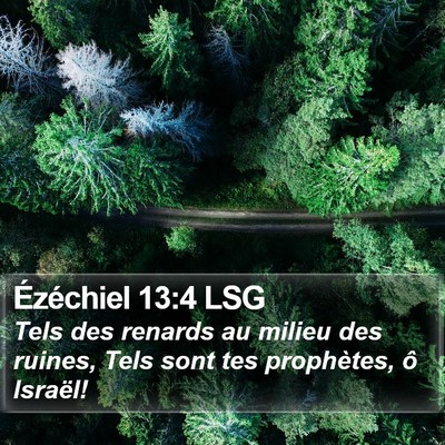 Ézéchiel 13:4 LSG Bible Verse Image