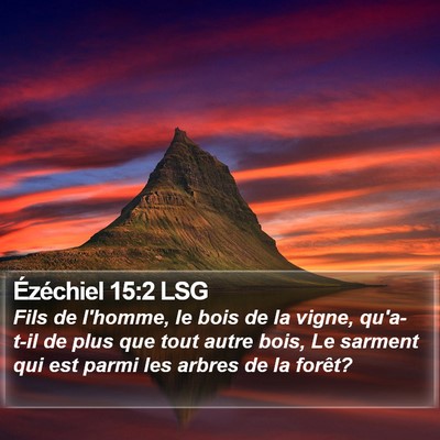 Ézéchiel 15:2 LSG Bible Verse Image