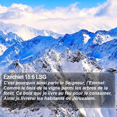 Ézéchiel 15:6 LSG Bible Verse Image