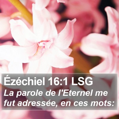 Ézéchiel 16:1 LSG Bible Verse Image