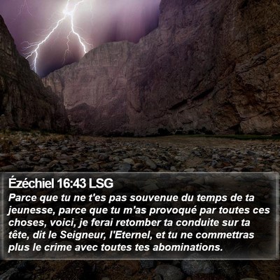 Ézéchiel 16:43 LSG Bible Verse Image