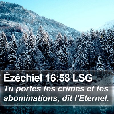 Ézéchiel 16:58 LSG Bible Verse Image