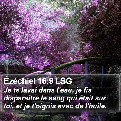 Ézéchiel 16:9 LSG Bible Verse Image