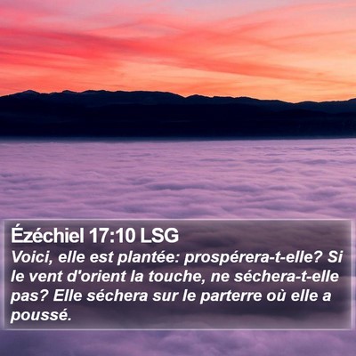 Ézéchiel 17:10 LSG Bible Verse Image