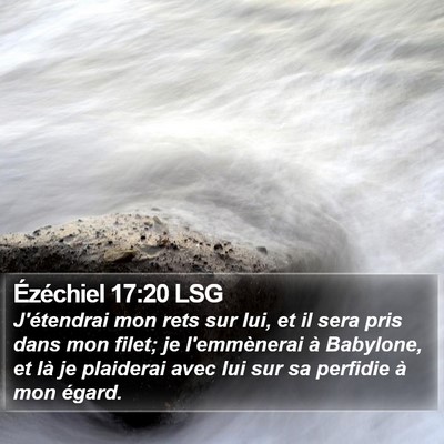 Ézéchiel 17:20 LSG Bible Verse Image