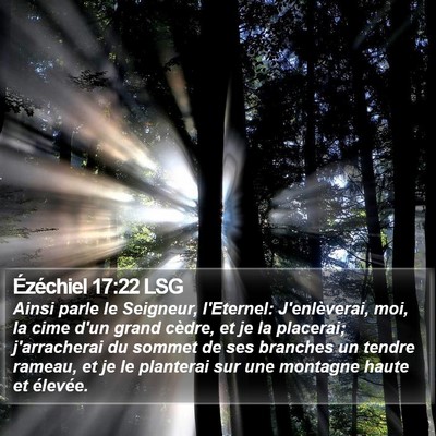 Ézéchiel 17:22 LSG Bible Verse Image