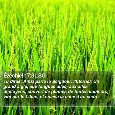 Ézéchiel 17:3 LSG Bible Verse Image