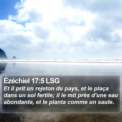 Ézéchiel 17:5 LSG Bible Verse Image