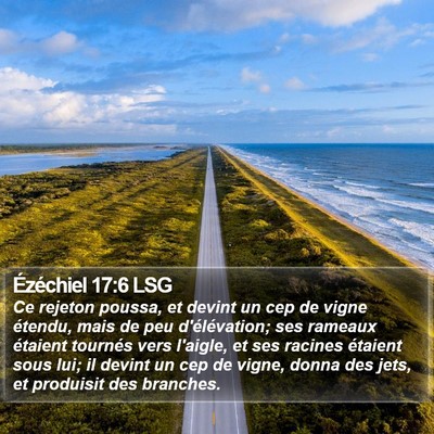 Ézéchiel 17:6 LSG Bible Verse Image