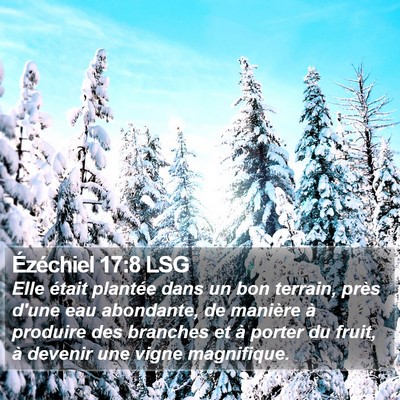 Ézéchiel 17:8 LSG Bible Verse Image
