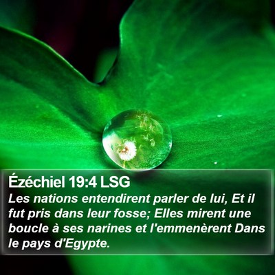 Ézéchiel 19:4 LSG Bible Verse Image
