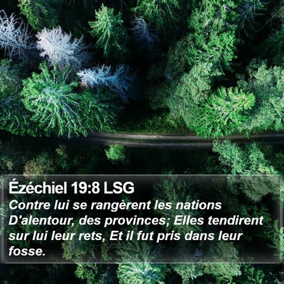 Ézéchiel 19:8 LSG Bible Verse Image
