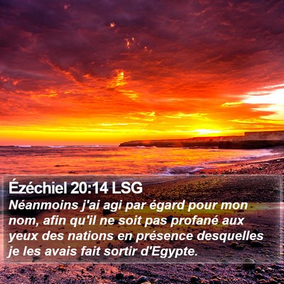 Ézéchiel 20:14 LSG Bible Verse Image