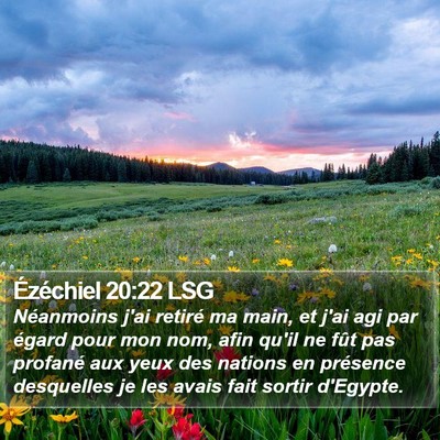 Ézéchiel 20:22 LSG Bible Verse Image