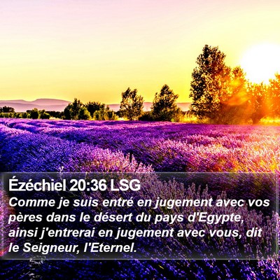 Ézéchiel 20:36 LSG Bible Verse Image