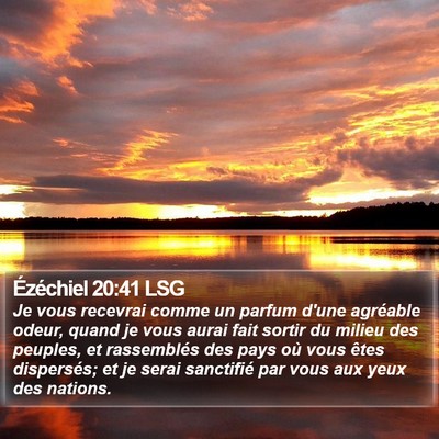 Ézéchiel 20:41 LSG Bible Verse Image