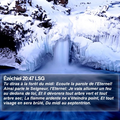 Ézéchiel 20:47 LSG Bible Verse Image