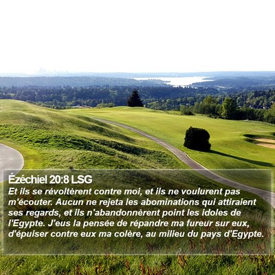 Ézéchiel 20:8 LSG Bible Verse Image
