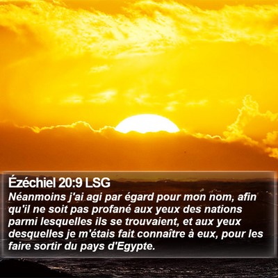 Ézéchiel 20:9 LSG Bible Verse Image